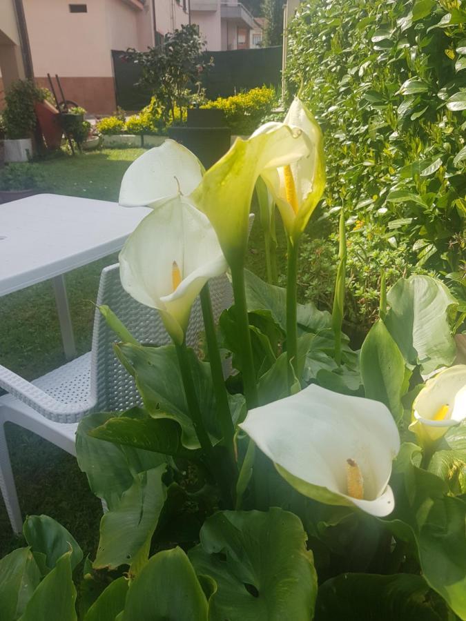 B&B La Damigiana Fioi Piano di Follo Kültér fotó