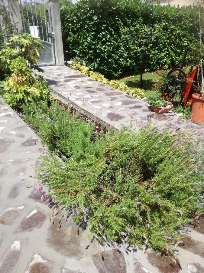 B&B La Damigiana Fioi Piano di Follo Kültér fotó