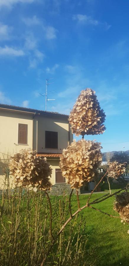 B&B La Damigiana Fioi Piano di Follo Kültér fotó