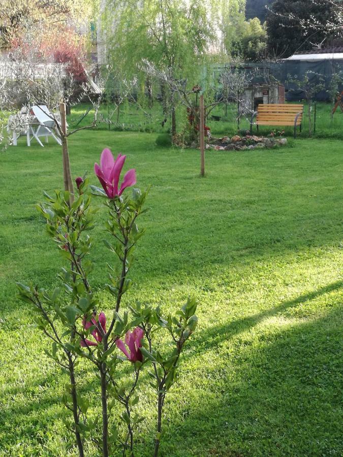 B&B La Damigiana Fioi Piano di Follo Kültér fotó