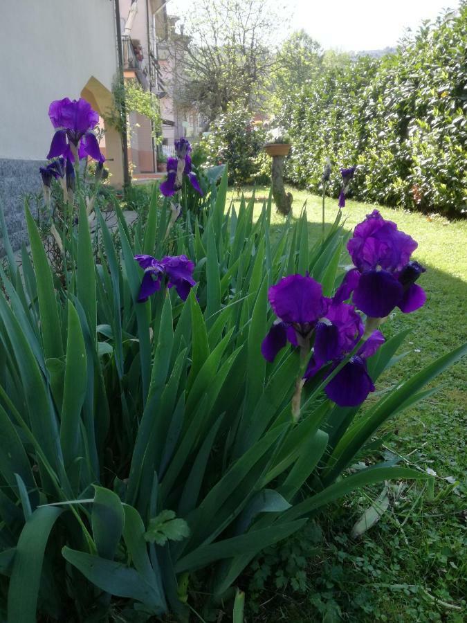 B&B La Damigiana Fioi Piano di Follo Kültér fotó